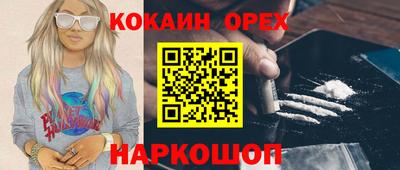 стафф Кингисепп