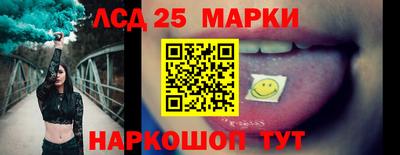 стафф Кингисепп