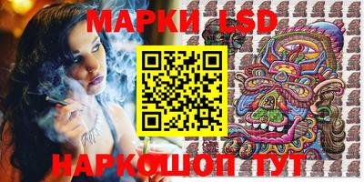 стаф Кинель