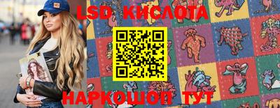 стафф Кингисепп