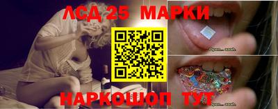 стаф Кинель