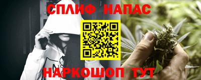 стафф Кингисепп