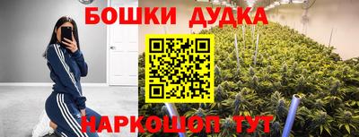 стаф Кинель