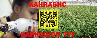 стафф Кингисепп