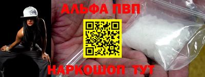 стафф Кингисепп