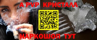 стафф Кингисепп