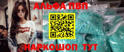 стафф Кингисепп
